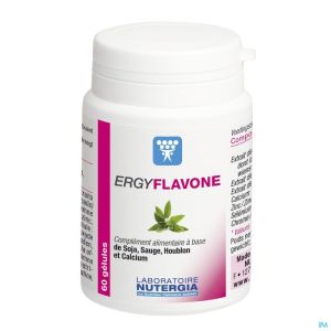 Ergyflavone 60 Gell