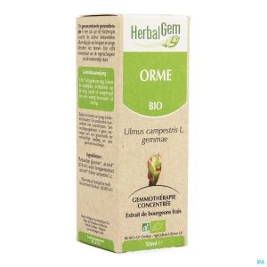 Herbalgem Olm Maceraat Bio 50 Ml