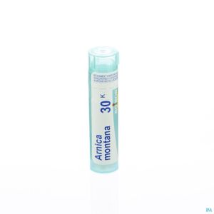 Arnica Montana 30k Gr 4g Boiron