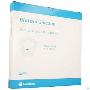 Biatain Silic Sacrum Ster 33405 25X25 Cm