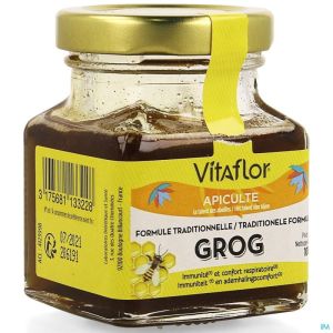 Vitaflor Bereiding Grog 100 G