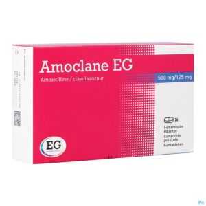 Amoclane E.g. 16 Tabl 500 Mg Nf