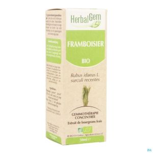 Herbalgem Frambozen Maceraat Bio 50 Ml