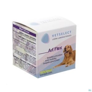 Artflex Veter 100 G