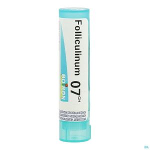 Boiron Gran Folliculinum 7Ch 4 G