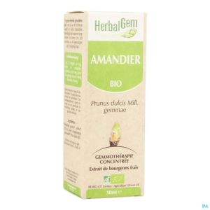 Herbalgem Amandel Maceraat Bio 50 Ml