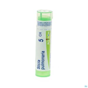 Boiron Gran Sticta Pulmonaria 5Ch 4 G