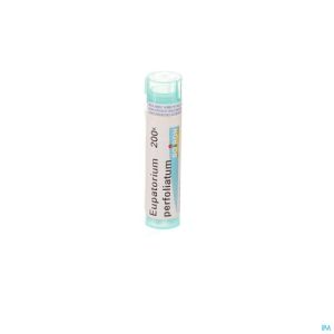 Boiron Gran Eupatorium Perfoliatum 200K 4 G