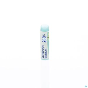 Lycopodium Clavatum 200k Gl Boiron