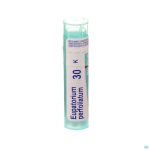 Boiron Gran Eupatorium Perfoliatum 30K 4 G