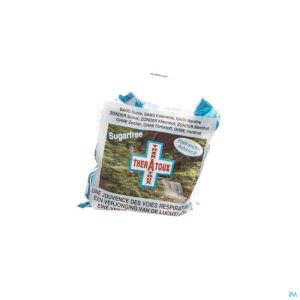 Theratoux Sans Sucre Past 100g