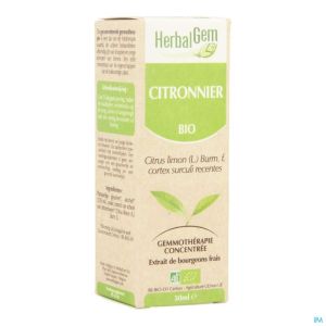 Herbalgem Citroenboom Maceraat Bio 50 Ml