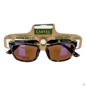 Cartel Lunette Solaire Hawai Asie