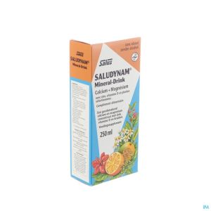 Saludynam Mineral Drink 250 Ml