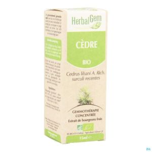 Herbalgem Ceder Maceraat 15 Ml