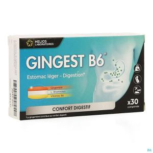 Gingest B6 30 Tabl