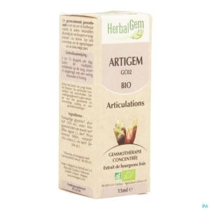 Herbalgem Artigem Complex Bio 15 Ml