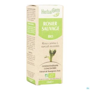 Herbalgem Hondsroos Maceraat Bio 15 Ml