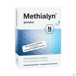 Methialyn 60 Tabl