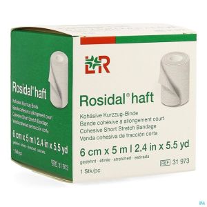 Rosidal Haft Cohesieve Windel 6Cmx5M 31973 1 St