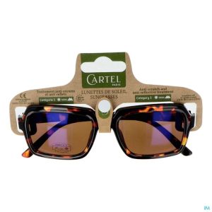 Cartel Lunette Solaire Spring Break Asi
