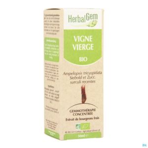 Herbalgem Wilde Wingerd Maceraat Bio 50 Ml