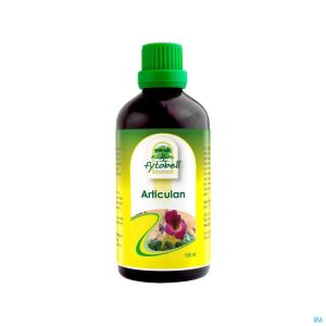 Fytobell Articulan 100 Ml Nf