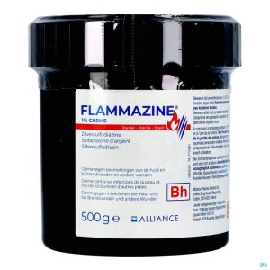 Flammazine 1% Creme 1 X 500g