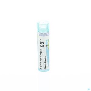Boiron Gran Lachnanthes Tinctoria 5Ch 4 G