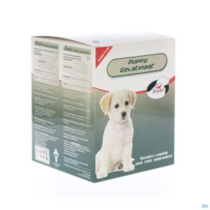 Primeval Artrose Hond Veter 2 Kg