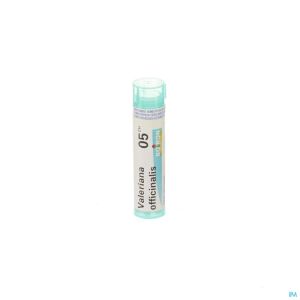 Boiron Gran Valeriana Officinalis 5Ch 4 G