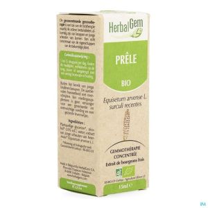 Herbalgem Heermoes Maceraat Bio 15 Ml