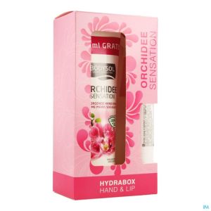 Bodysol Hydrabox Orchid Hand&Lip 2 St
