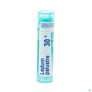 Boiron Gran Ledum Palustre 30K 4 G