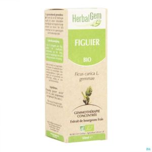 Herbalgem Figuier Macerat 50ml