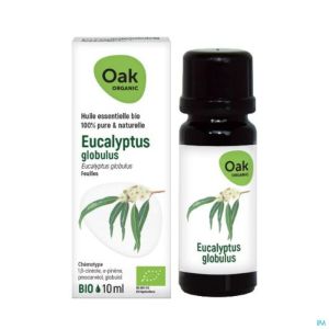 Oak Ess Olie Eucalyptus Globulus Bio 10 Ml