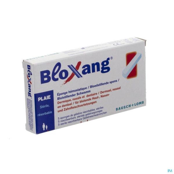 Bloxang Spons 4,X1 X1Cm 5 St