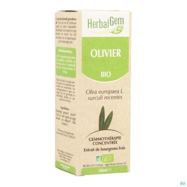 Herbalgem Olijfboom Maceraat Bio 50 Ml