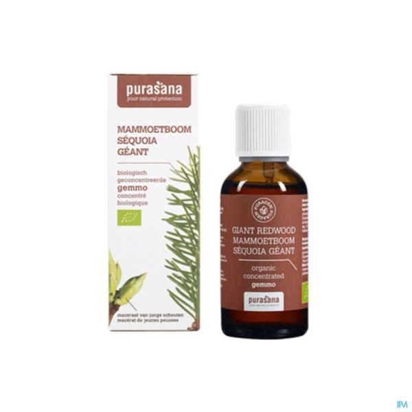 Purasana Puragem Mammoetboom 50 Ml