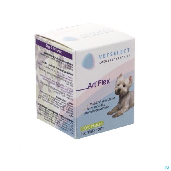 Artflex Veter 70 G