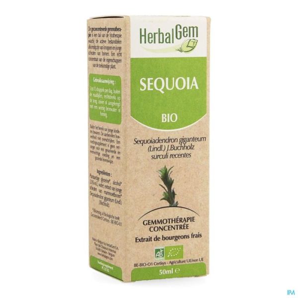 Herbalgem Sequoia Macerat 50ml