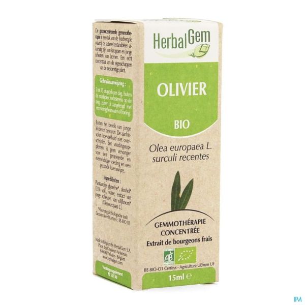 Herbalgem Olijfboom Maceraat Bio 15 Ml