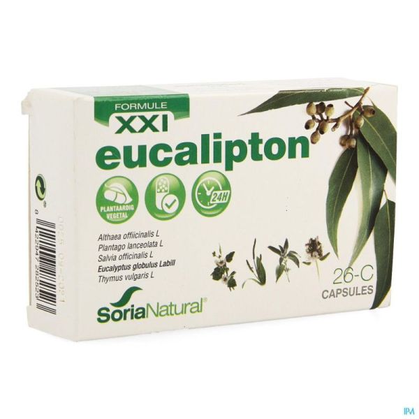 Soria 26c Eucalipton Xxi Caps 30