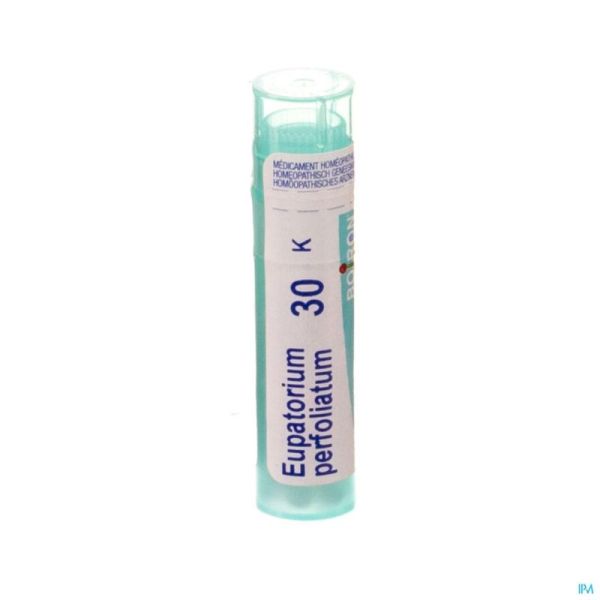 Boiron Gran Eupatorium Perfoliatum 30K 4 G