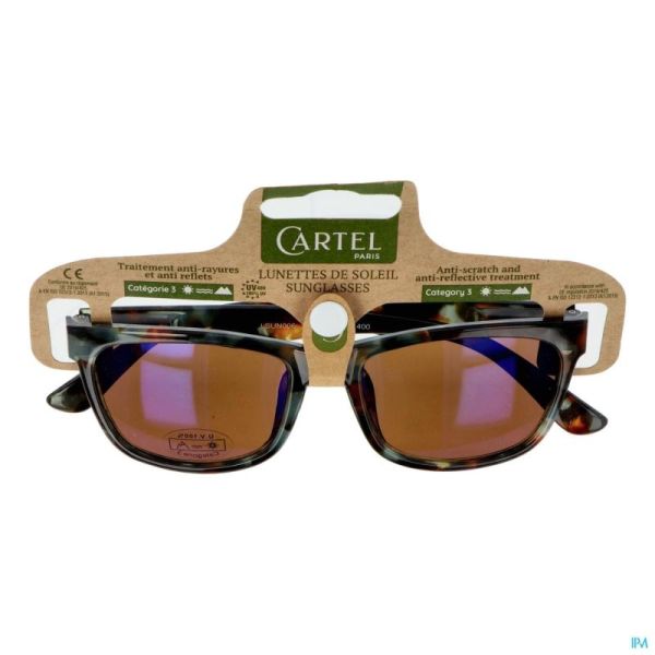 Cartel Lunette Solaire Hawai Asie