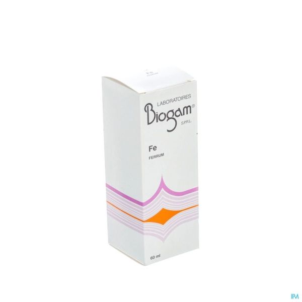 Biogam Fe Fl 60ml