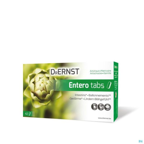 Dr Ernst Enterotabs 42 Tabl